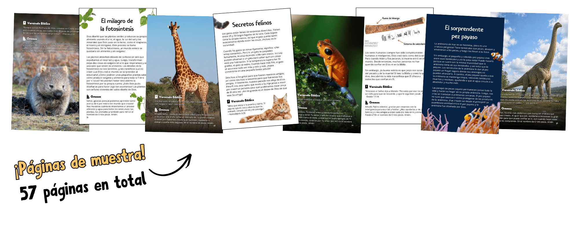 Image of sample pages