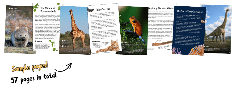 Image of sample pages