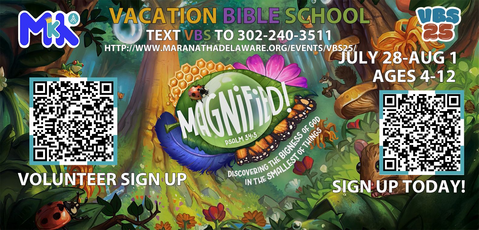 VBS Magnified!